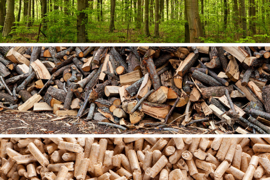 les, dřevo, pelety